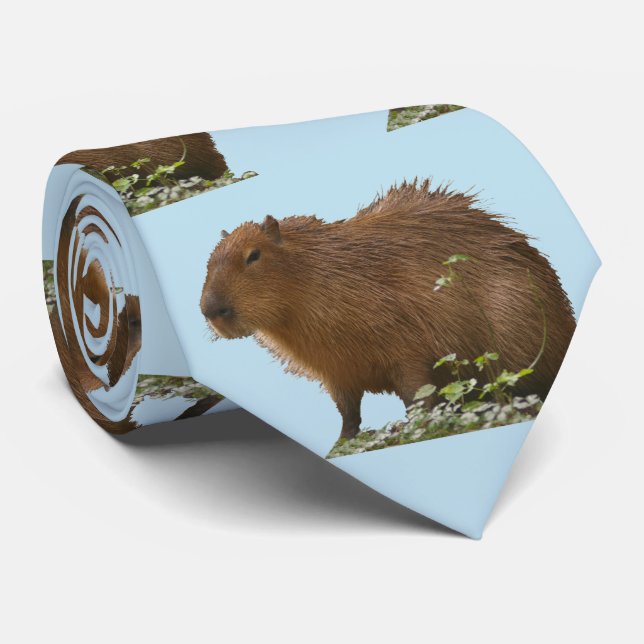 Gravata Pescoço de Capivara (Rolled)
