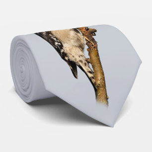 Gravata Pica-pau Doce Bonito na árvore Fruta