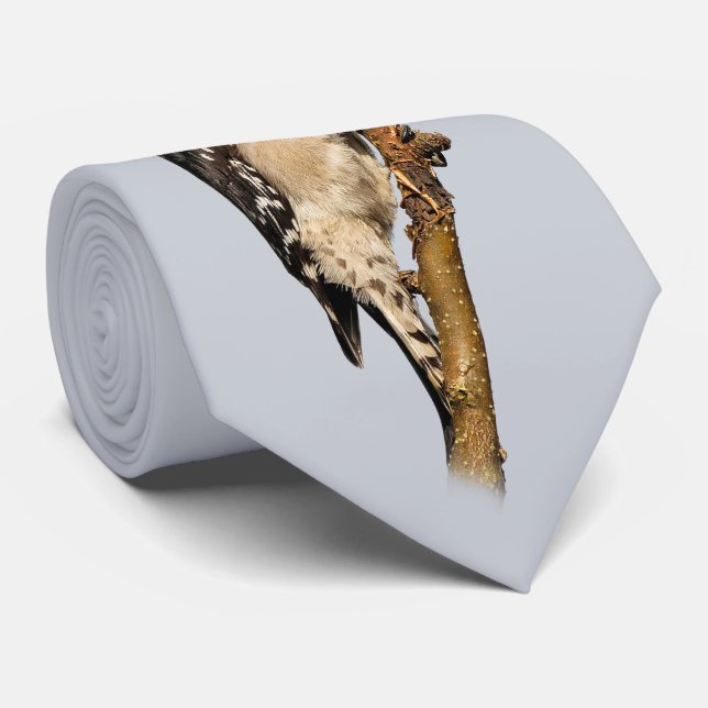 Gravata Pica-pau Doce Bonito na árvore Fruta (Rolled)