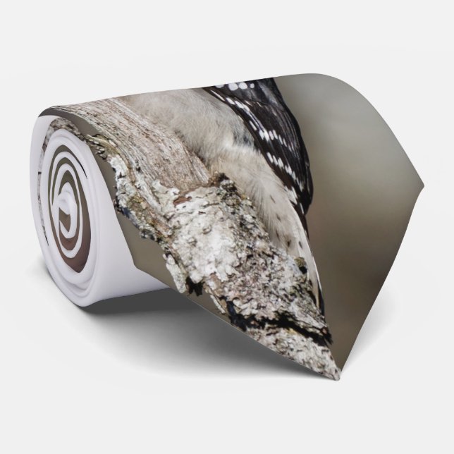 Gravata Pica-pau-pau-pau-pau-penteado na árvore (Rolled)