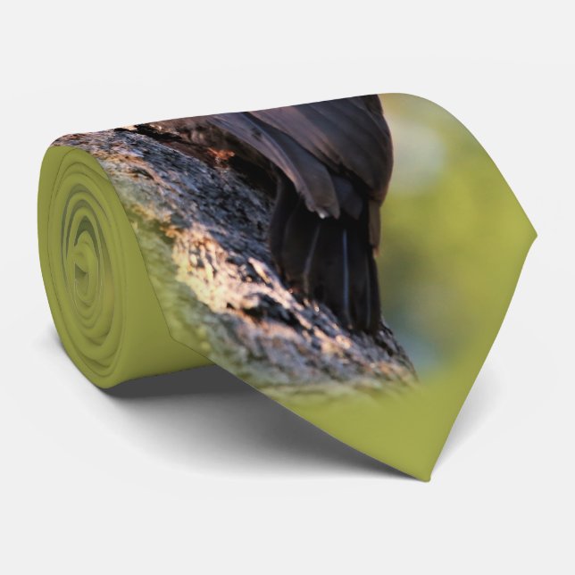 Gravata Pica-pau pileado bonito na árvore (Rolled)