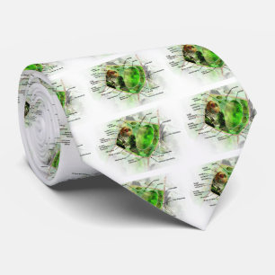 Gravata pilha da planta