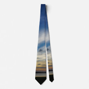 Gravata Pintura De Deuses Em Arthur Ravenel Neck Tie