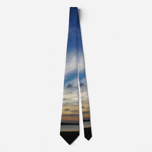 Gravata Pintura De Deuses Em Arthur Ravenel Neck Tie (Frente)