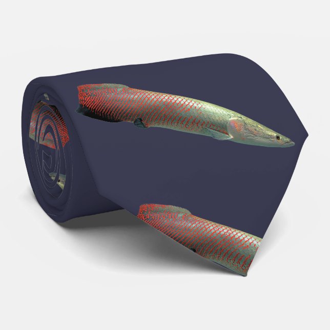 Gravata Pirarucu , Arapaima gigas ネ ク タ イ (Rolled)