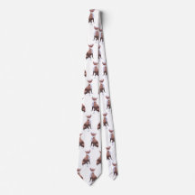 Pit Bull cão marrom e branco