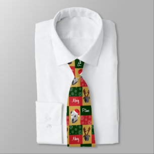 Gravata Pitmas alegre