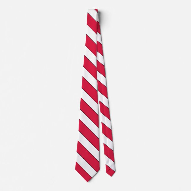 Gravata Polônia Flag Pescoço Patriótico Elegante (Frente)