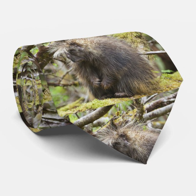 Gravata Porcupina determinada (Rolled)