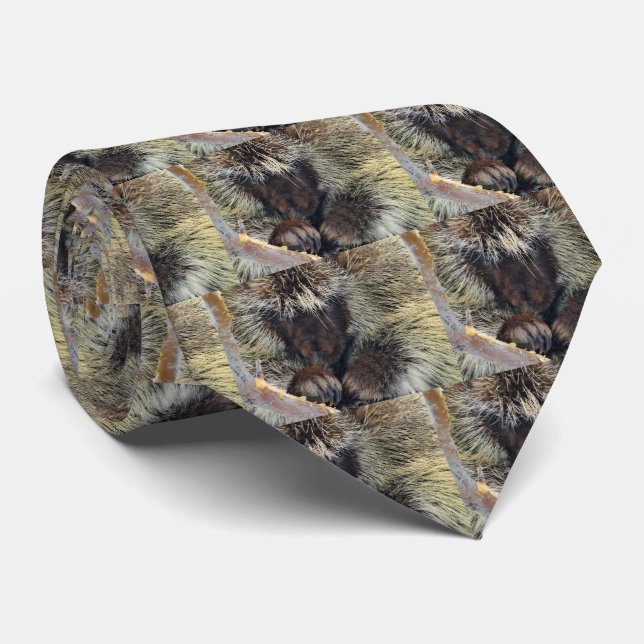 Gravata Porcupine Men's Tie (Rolled)