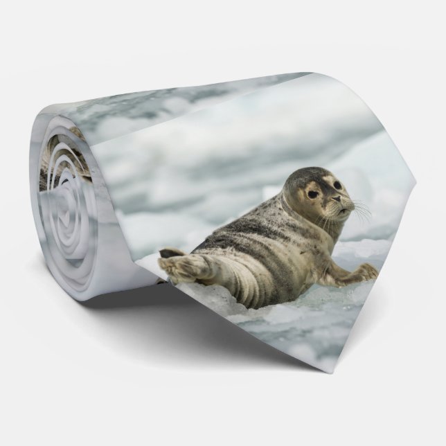 Gravata Precioso Baby Seal (Rolled)