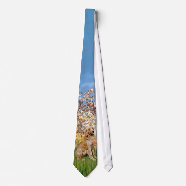Gravata Primavera (Monet) - Golden Retriever (Frente)