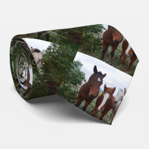 Gravata Quatro Cavalos,