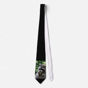 Gravata Raccoon_2015_0116