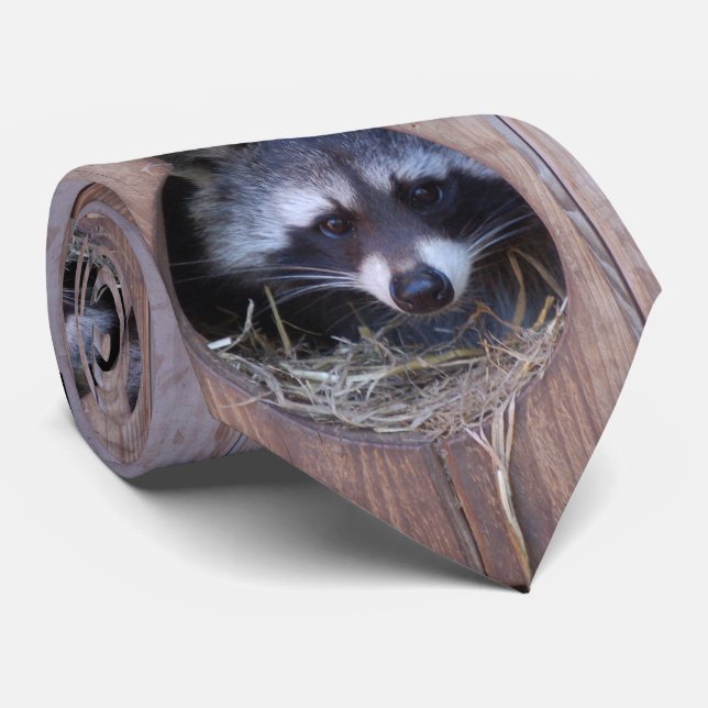 Gravata RACOON GUAXINIM/fotografia: Louis Glineur (Rolled)