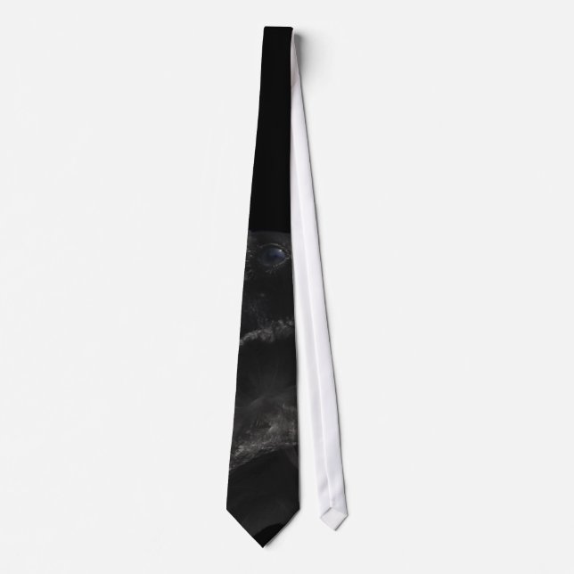 Gravata Raven's eye Tie (Frente)