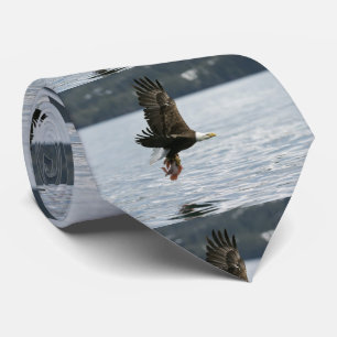 Gravata Recuperação de Peixes de Águia-Cálida