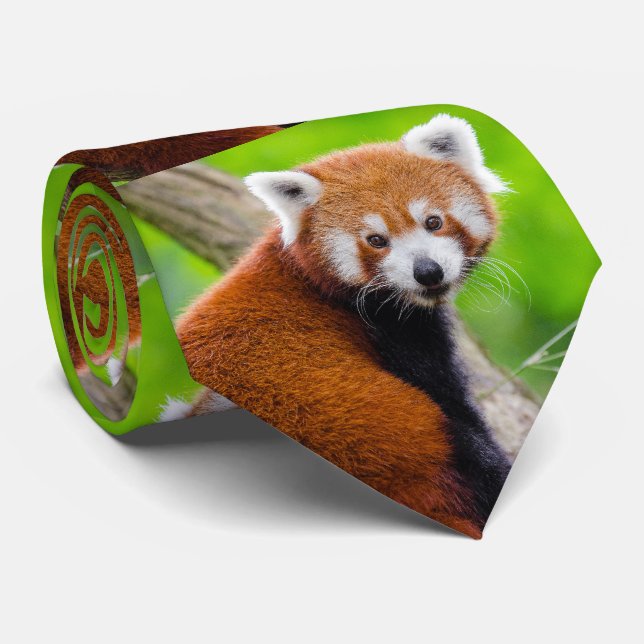 Gravata Red Panda ネクタイ (Rolled)