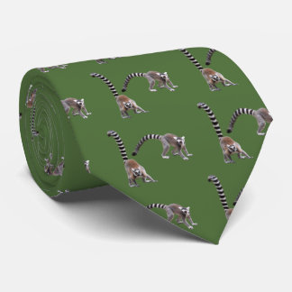 Gravata Ring-tailed lemur