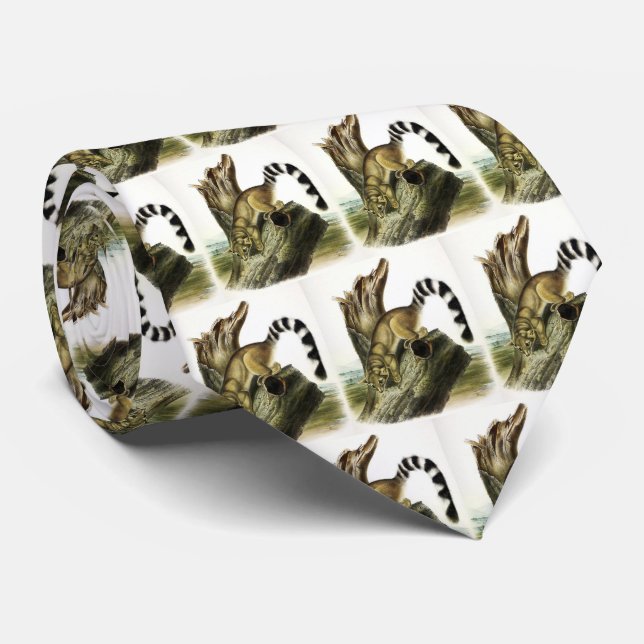 Gravata Ringtail (Bassaris de Anel, Gato de Anel) (Rolled)