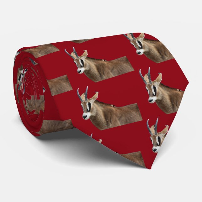 Gravata Roan Antelope (Rolled)