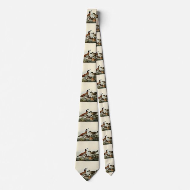 Gravata Ruddy Duck do Pássaro da América de John Audubon (Frente)