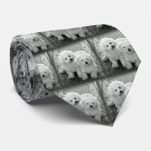 Gravata Seu próprio laço do pescoço da foto