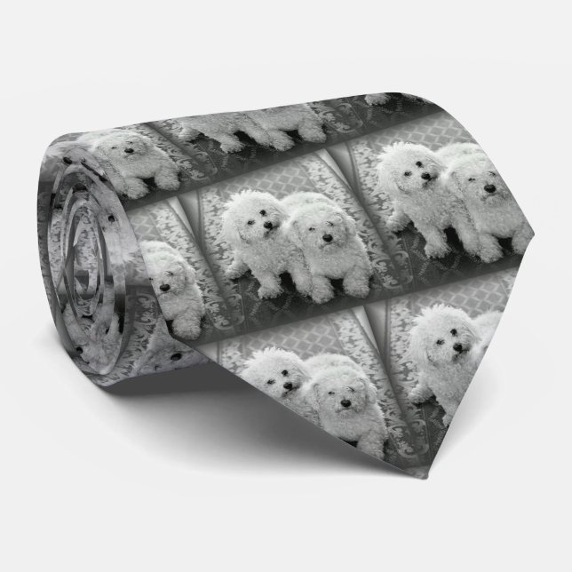 Gravata Seu próprio laço do pescoço da foto (Rolled)