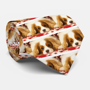 Gravata Snowflake Cavalier King Charles Spaniel