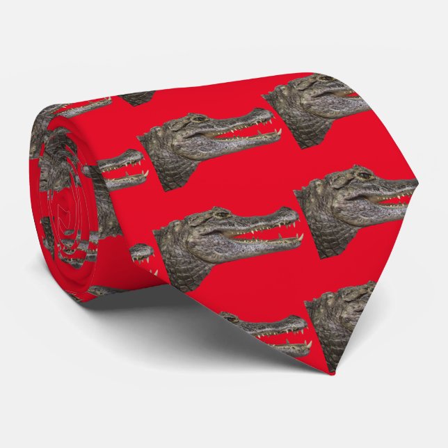 Gravata Spectacled caiman (Rolled)