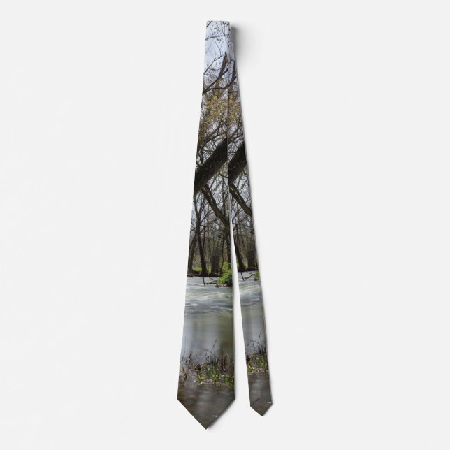 Gravata Springtime Em Finley Neck Tie (Frente)
