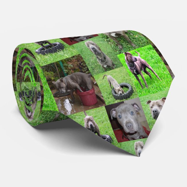 Gravata Staffordshire Bull Terrier Photo Collage (Rolled)