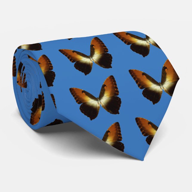 Gravata Sunset Morpho (Morpho hecuba) (Rolled)