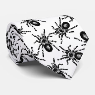 Gravata Tarantula