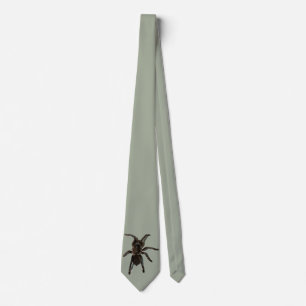 Gravata Tarantula