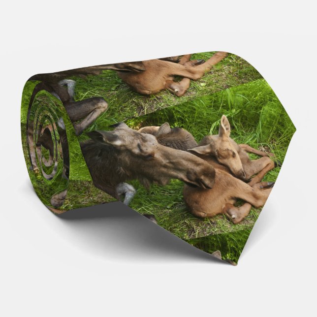 Gravata Tender Mãe Moose (Rolled)