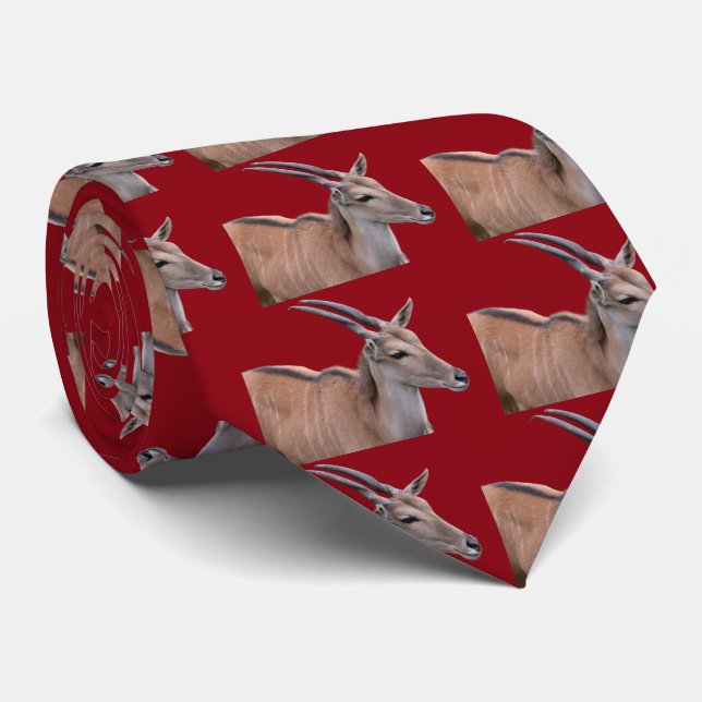 Gravata Terra (Rolled)