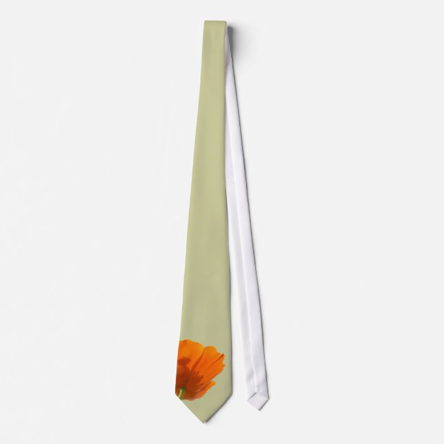 Gravata Tie de Casamento de Masculinos Laranja (Frente)