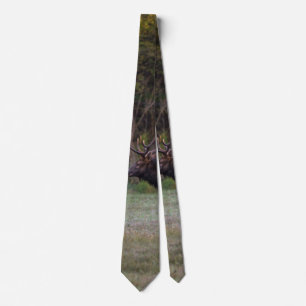 Gravata Tie Do Pescoço Da Manhã De Touro