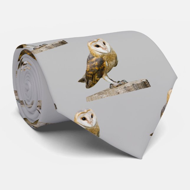 Gravata Tie do Pescoço do Barn Owl (Rolled)