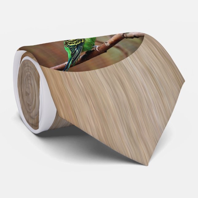 Gravata Tiger Parakeet (Rolled)