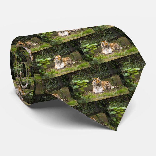 Gravata Tigre (Rolled)