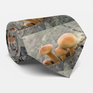 Gravata Toadstools em uma torre de tronco em árvore