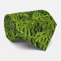 Tornos de Árvore Evergreen