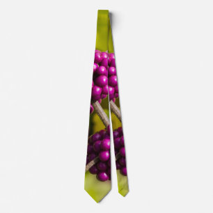 Gravata Torre de Neck de Beautyberry Americana