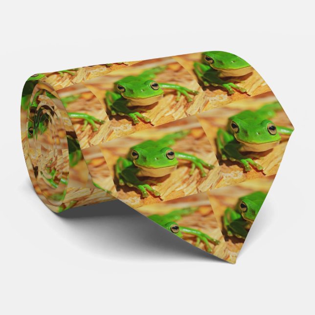 Gravata Tree frog (Rolled)