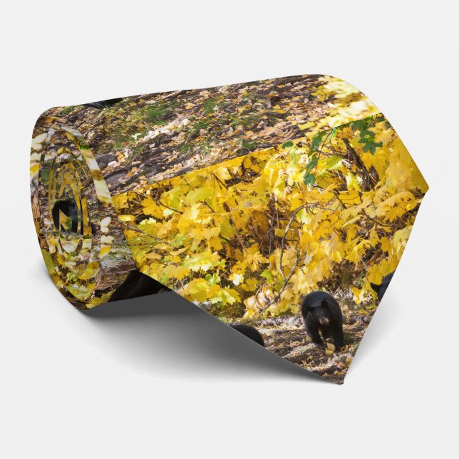 Gravata Três ursos (Rolled)