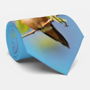 Gravata Um Curioso Hummingbird