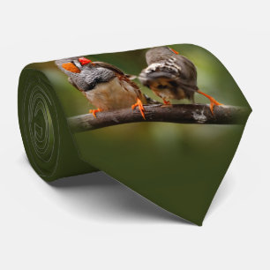 Gravata Um par de peitos de zebra