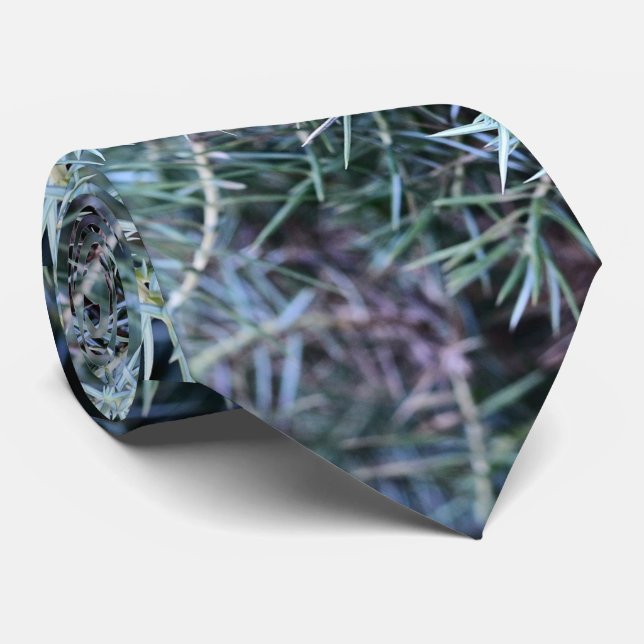 Gravata Um tiro próximo do zimbro (Rolled)